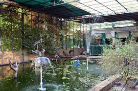 Aviary