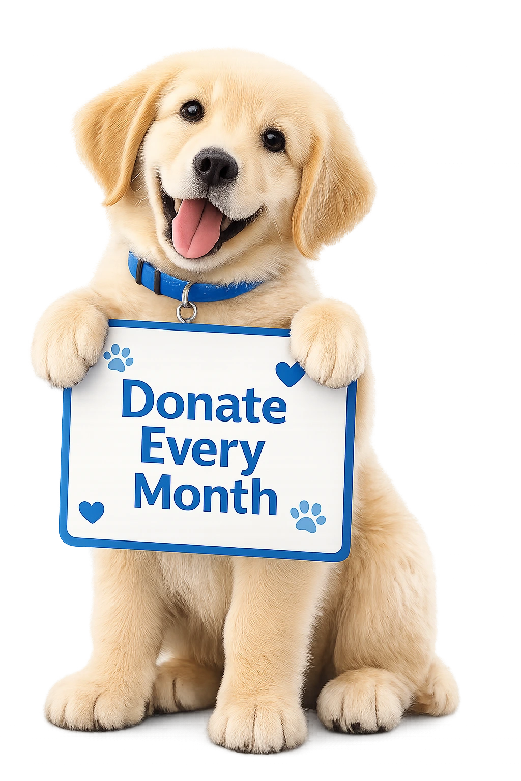 Jivdaya Charitable Trust