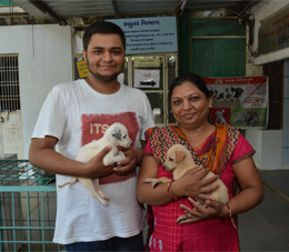 Adoption Center Adoption Center