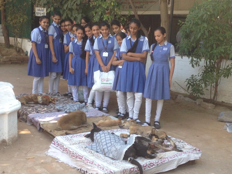 jivdaya-charitable-trust