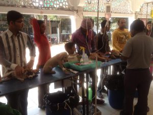 jivdaya-charitable-trust