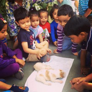 jivdaya-charitable-trust