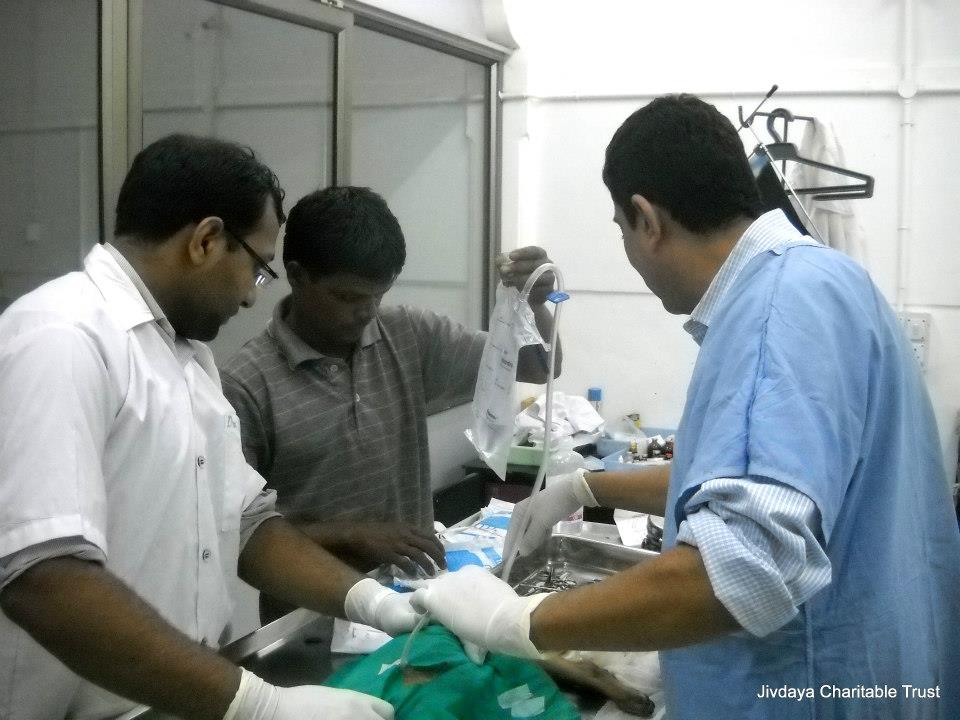 Removing air from the lungs to help it build up again. The lung collapses on itself if left untreated.