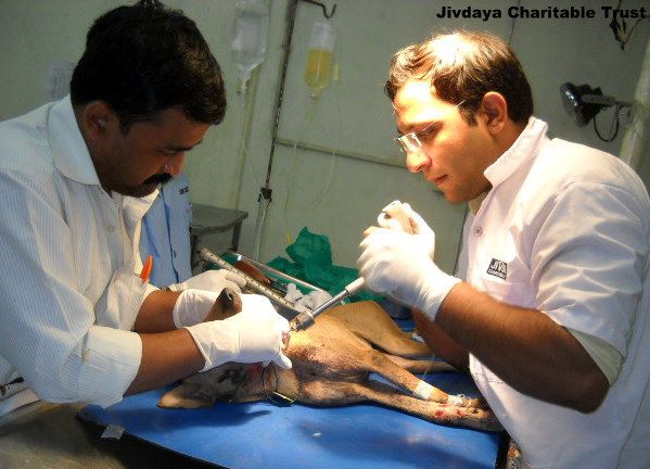 Doctor's Fixing the broken Jaw