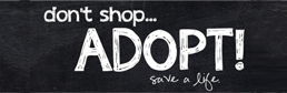 dont' shop adopt