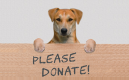 donate