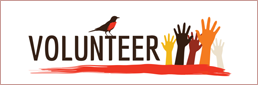 volunteer now