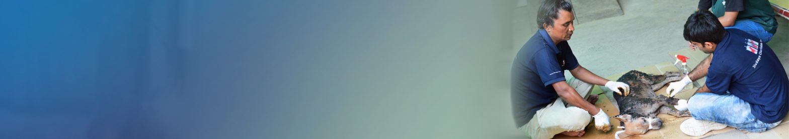 about-us-banner
