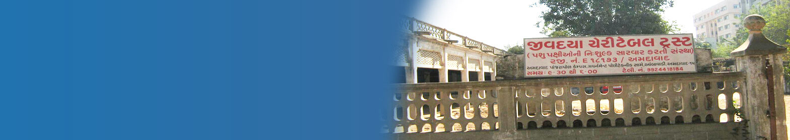 history-banner