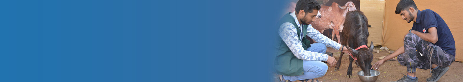 volunteer-form-banner