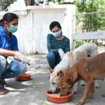 feeding-img2
